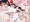 ふたば×なりあ　Episode1-1 ふたバレ編