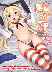 C85表紙