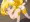 キュアピース