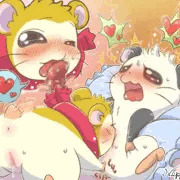 Pashmina-and-Panda