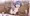 捕まる景品のキモチ【アニメ】