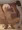 無理矢理動物なかよし