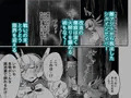 ブラインドシャインIF02　販売開始！