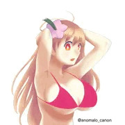 花騎士