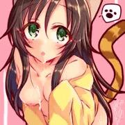 ゆきにゃん