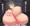 近所の超乳パイズリお姉さん