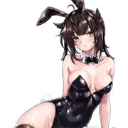 初月　バニー