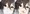 宣伝