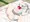 ゴキブリおじさんと花嫁　続き