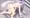 白玉楼の庭で・・・