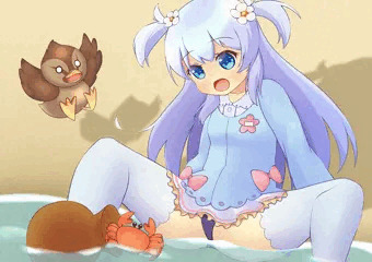 バイカモ