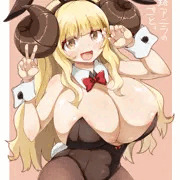 アニラ本