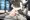 シェリー受胎実験中