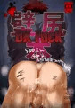 壁尻本