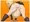 孕みDGLCF-chang !!!!!!!