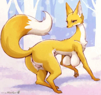 Golden Fox