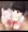 手コキ❤