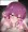 夜桜四怨