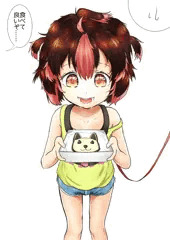 ヴァンアレン帯