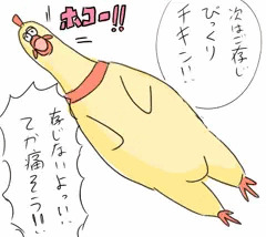 shrilling chicken