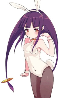 白バニー