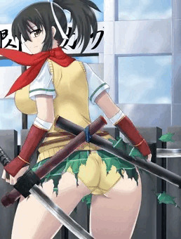 飛鳥（飛鳥の忍装束破壊小）