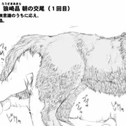 「夜明けの狼神姫」より 目覚めの交尾結合