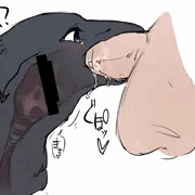 とりのどふぇら。