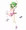 習作1　体操服響子ちゃん