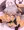 サキュちゃん