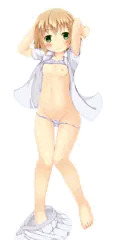 うちのこ