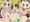 ヤマネ&カナダカワウソ