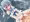 うちのこと海で