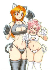 猫の日