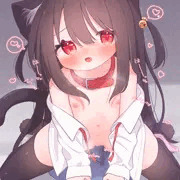 🦈🐈