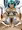 FGO