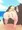 エロ水着お嬢様.mp2
