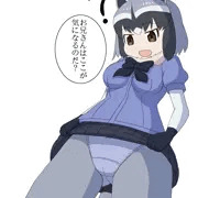 アライさんたくし