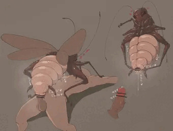 【閲覧注意】メスのゴキブリなんかに...！