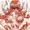 侵略！タコ娘