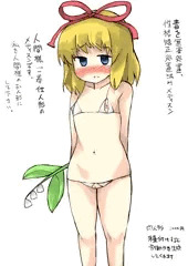 人間に悪さする人形を良い人形にしてあげた。
