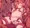 ぷりゅぷりゅ