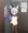 逆バニー制服チノちゃん