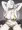 金ビキニ_蛇女房(FGO)