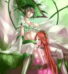 百合百合