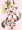 際どい水着のクッパ姫