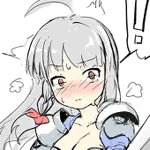 FujiR