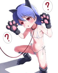 猫キャリーさん