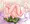 ごろりんくぱぁ