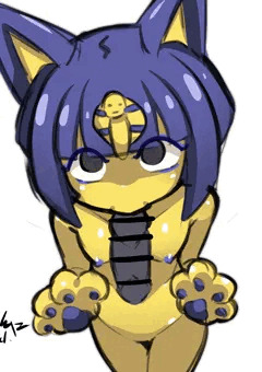 ナイルフェラ